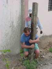 Removing Fence Posts 1