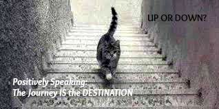 catstairs